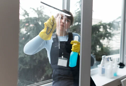 Nettoyage de vitres intérieures et extérieures à la Regrippière